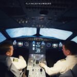 Pilots in Aviation Safety