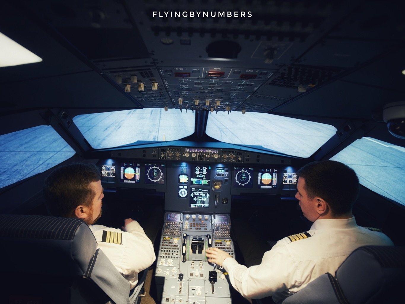 Pilots in Aviation Safety