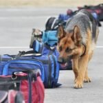 Airport Services You Didn’t Know Existed